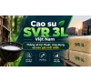 Cao su SVR 3L Việt Nam – Thông số kỹ thuật, ứng dụng và báo giá mới nhất