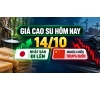 Giá cao su hôm nay 14/10: Nhật Bản đi lên, ngược chiều Trung Quốc