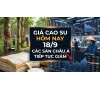 Giá cao su hôm nay 18/9: Các sàn châu Á tiếp tục giảm