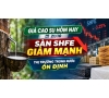 Giá cao su hôm nay 21/10: Sàn SHFE giảm mạnh, thị trường trong nước ổn định