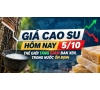 Giá cao su hôm nay 5/10: Thế giới tăng giảm đan xen, trong nước ổn định