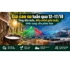 Giá cao su tuần qua 12–17/10: Tăng đầu tuần, điều chỉnh giữa tuần, triển vọng vẫn phân hóa