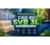 Thông số kỹ thuật cao su SVR 3L – TDS và các chỉ tiêu quan trọng cần kiểm soát
