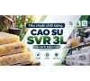 Tiêu chuẩn chất lượng cao su SVR 3L và cách kiểm tra