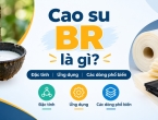 Cao su BR là gì? Đặc tính, ứng dụng và các dòng cao su BR phổ biến