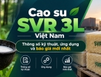 Cao su SVR 3L Việt Nam – Thông số kỹ thuật, ứng dụng và báo giá mới nhất