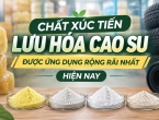 Chất Xúc Tiến Lưu Hóa Cao Su Phổ Biến: Tổng Hợp Các Loại Được Ứng Dụng Rộng Rãi Nhất Hiện Nay