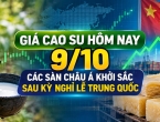 Giá cao su hôm nay 9/10: Các sàn châu Á khởi sắc sau kỳ nghỉ lễ Trung Quốc