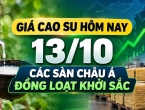 Giá cao su hôm nay 13/10: Các sàn châu Á đồng loạt khởi sắc