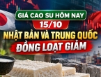 Giá cao su hôm nay 15/10: Nhật Bản và Trung Quốc đồng loạt giảm