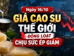 Ngày 16/10: Giá cao su thế giới đồng loạt chịu sức ép giảm