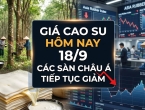 Giá cao su hôm nay 18/9: Các sàn châu Á tiếp tục giảm
