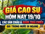 Giá cao su hôm nay 19/10: Các sàn châu Á giảm trái chiều, giá trong nước đi ngang