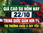 Giá cao su hôm nay 22/10: Trung Quốc giảm hơn 1%, thị trường châu Á suy yếu
