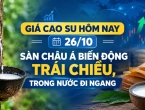 Giá cao su hôm nay 26/10: Sàn châu Á biến động trái chiều, trong nước đi ngang
