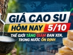Giá cao su hôm nay 5/10: Thế giới tăng giảm đan xen, trong nước ổn định