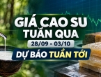 Giá cao su tuần qua (28/09 - 03/07) và dự báo tình hình giá cao su tuần tới