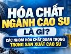 Hóa chất ngành cao su là gì? Các nhóm hóa chất quan trọng trong sản xuất cao su