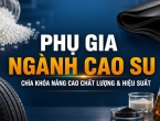 Phụ gia ngành cao su