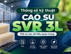 Thông số kỹ thuật cao su SVR 3L – TDS và các chỉ tiêu quan trọng cần kiểm soát