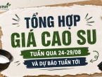 Tổng hợp giá cao su tuần qua 24-29/08, và dự báo tuân tới