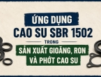 Ứng Dụng Cao Su SBR 1502 Trong Sản Xuất Gioăng, Ron Và Phớt Cao Su