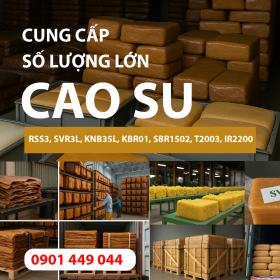 CAO SU RSS3, SVR3L, KNB35L, KBR01,T2005, IR2200