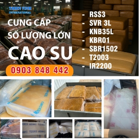 CAO SU RSS3, SVR3L, KNB35L, KBR01,T2005, IR2200