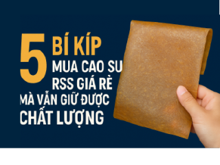 5 bí kíp mua cao su RSS3 giá rẻ cho doanh nghiệp sản xuất