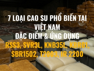 7 loại cao su phổ biến tại Việt Nam RSS3, SVR3L, KNB35L, KBR01, SBR1502, T2003, IR 2200: đặc điểm & ứng dụng