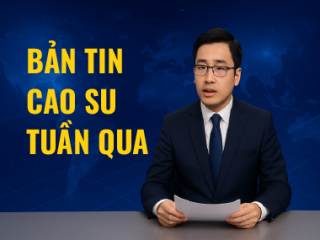Bản tin tuần: thị trường cao su từ ngày 14/4 - 20/04/2025