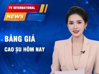 Ngày 17/2: Giá cao su tại sàn SFHE giữ vững đà tăng sáng đầu tuần
