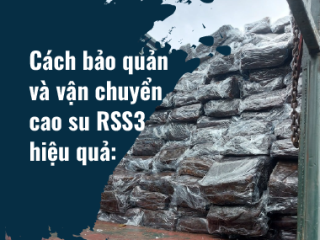 Cách bảo quản và vận chuyển cao su RSS3 hiệu quả: Giải pháp tối ưu chất lượng sản phẩm
