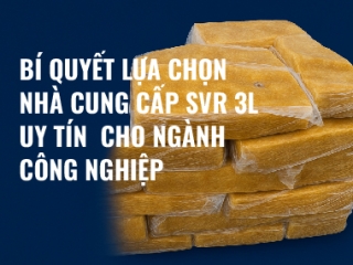 Bí quyết lựa chọn nhà cung cấp SVR 3L uy tín cho ngành công nghiệp