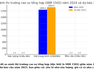 Thị trường chung cao su tổng hợp (cao su SBR 1502, 1712, KNB 35L …) tại việt nam năm 2024, dự báo năm 2025