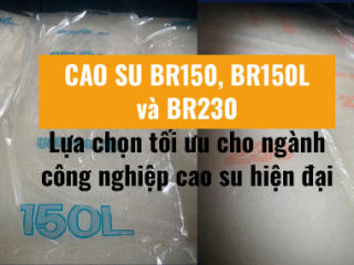 Cao su BR150, BR150L và BR230 – Lựa chọn tối ưu cho ngành công nghiệp cao su hiện đại