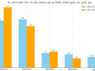Các quốc gia nào dẫn đầu thế giới về sản xuất cao su thiên nhiên?