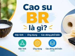 Cao su BR là gì? Đặc tính, ứng dụng và các dòng cao su BR phổ biến