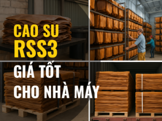 Cao su RSS3 giá tốt cho nhà máy: lựa chọn tối ưu cho doanh nghiệp sản xuất