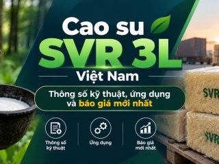 Cao su SVR 3L Việt Nam – Thông số kỹ thuật, ứng dụng và báo giá mới nhất