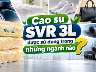 Cao su SVR 3L được sử dụng trong những ngành nào?