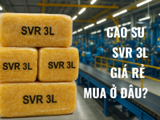Cao su SVR 3L giá rẻ mua ở đâu?