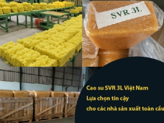 Cao su SVR 3L Việt Nam – Lựa chọn tin cậy cho các nhà sản xuất toàn cầu