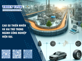 Cao su thiên nhiên và vai trò trong ngành công nghiệp hiện đại.