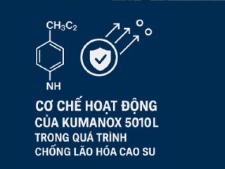 Cơ chế hoạt động của Kumanox 5010L trong quá trình chống lão hóa cao su
