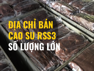 Địa chỉ bán cao su RSS3 số lượng lớn