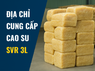 Địa chỉ cung cấp cao su SVR 3L uy tín