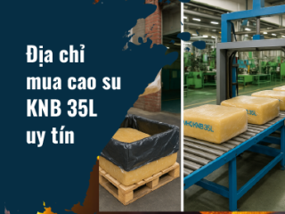 Địa chỉ mua cao su KNB 35L uy tín