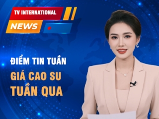 Thị trường và giá cao su RSS3: Tổng hợp tuần qua 04-09/8/2025 và dự báo tuần này