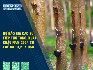 Dự báo giá cao su tiếp tục tăng, xuất khẩu năm 2024 có thể đạt 3,2 tỷ USD